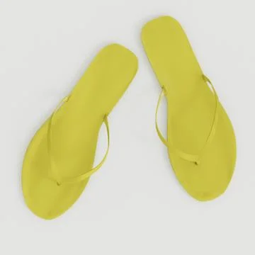 Flip flops Stock Illustration