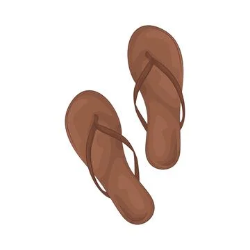 Flip flops illustration Stock Illustration