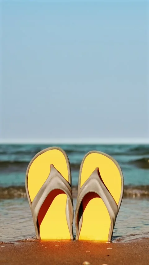 Flip flops in the sand of the beach Stock Footage 206820164