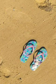 Flip flops with seashells on the beach 스톡 사진
