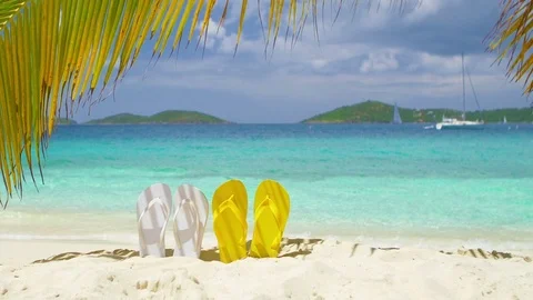 Flip flops under palm tree on tropical beach, St John Video stock 69804090