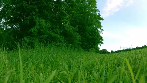 Flip Over In Green Field Video stock 200901282