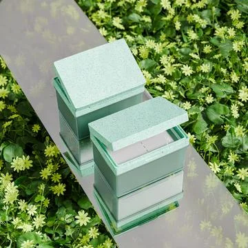 Flip top cap moisturizing toner pads packaging mockup Stock Illustration