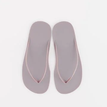 Flipflops isolated on white background Stock Illustration