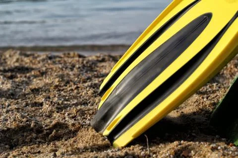 The Flipper Foto stock