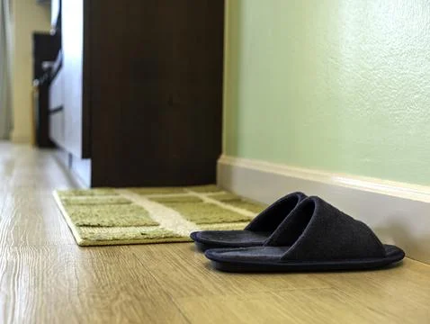 Flipper Stock Photos