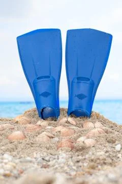 Flipper on a sandy beach Stock Photos