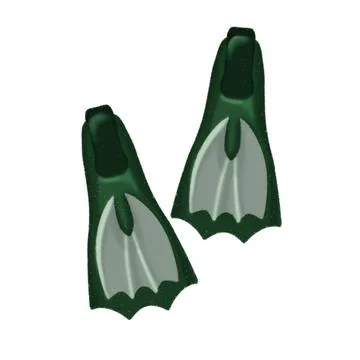 Flippers illustration Stock Illustration
