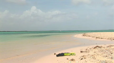 Flippers &amp; mask Stock Footage 95207