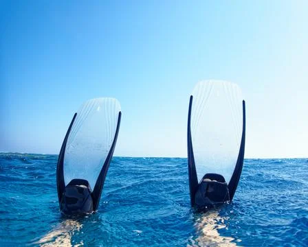 Flippers Stock Photos