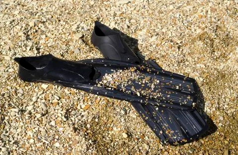 Flippers on the shore Stock Photos