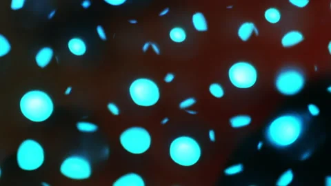 Flipping Abstract Animated Halftone Grid of Floating Dots Stock Footage 304980545