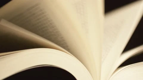 Flipping Book Pages, Loopable Clip Stock Footage 234473417