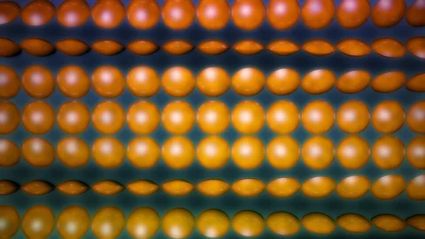 Flipping button array Video stock 98227020