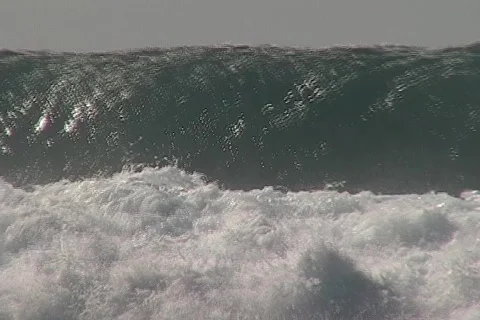 Flipping Out Stock Footage 311763