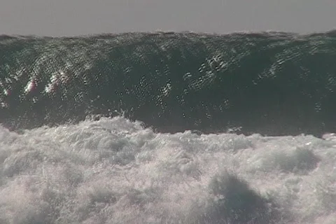 Flipping Out Stock Footage 317510