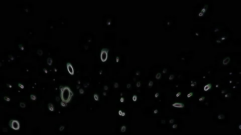 Flipping, Oval in Shape Particles with Negative Outline and Chroma Noise Effect Stock Footage 147658091