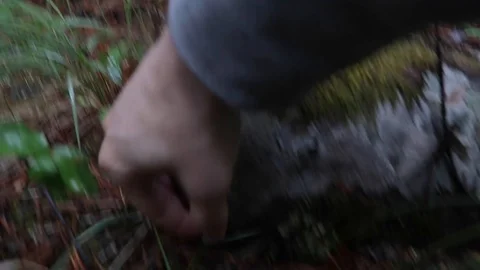 Flipping over large rock Stock Footage 112365861