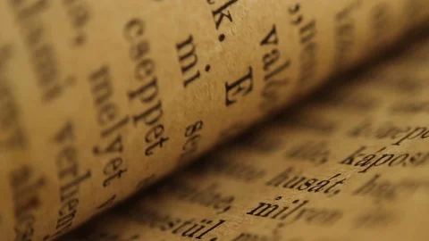 Flipping Pages Loop Vídeo Stock 75944736