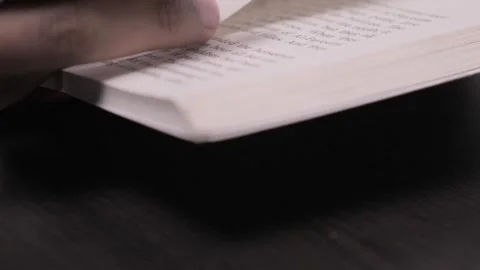 Flipping the Pages of a Novel. Stock Footage 342243727