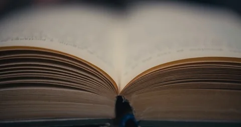 Flipping pages on an old book. Stock Footage 100325704