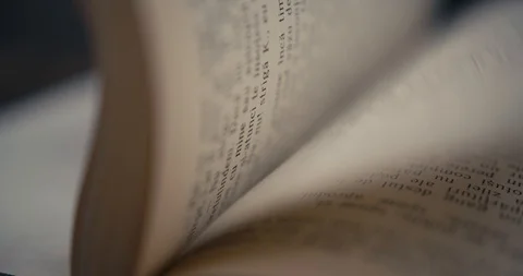 Flipping pages on an old book. Stock Footage 100325718