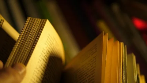 Flipping pages of an Old Book Video stock 113159847