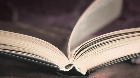Flipping pages of old book. Stock Footage 240302404