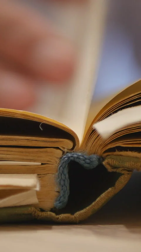 Flipping Through Pages Of Old Book Stock Footage 309693455