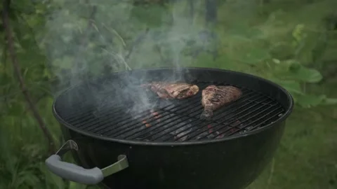 Flips dorado fish on a charcoal grill with smoke Stock Footage 201021476