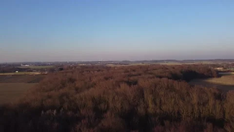 Fliyng with a drone over a bare forest at sunset in the Germany countryside Stock Footage 197402685