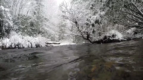 Float Above Creek GoPro Stock Footage 49106212