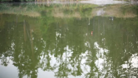 Float and display 库存影片 115650485