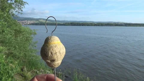Float on carp, Orava reservoir Video stock 111685300