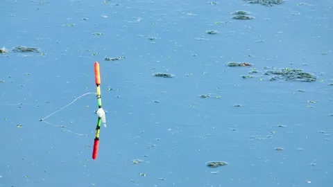 Float for catching fish on the water surface. Stock Footage 155740355