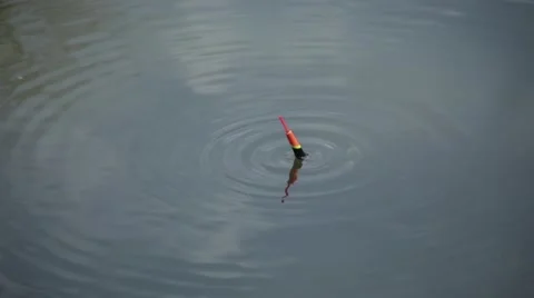 Float fishing with a catch Stock Footage 56638208