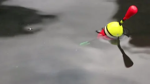 Float for fishing. Stock Footage 48761030