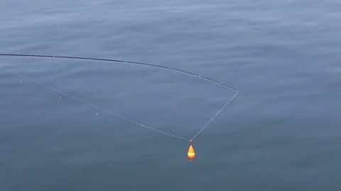 Float for fishing Stock Footage 77377097