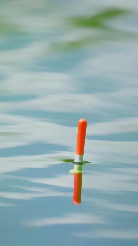 Float for fishing on the lake Stock Footage 335278867
