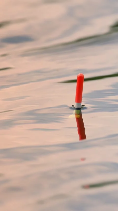 Float for fishing on the lake Stock Footage 335279301