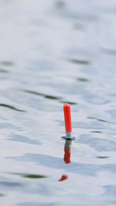 Float for fishing on the lake Stock Footage 335280331