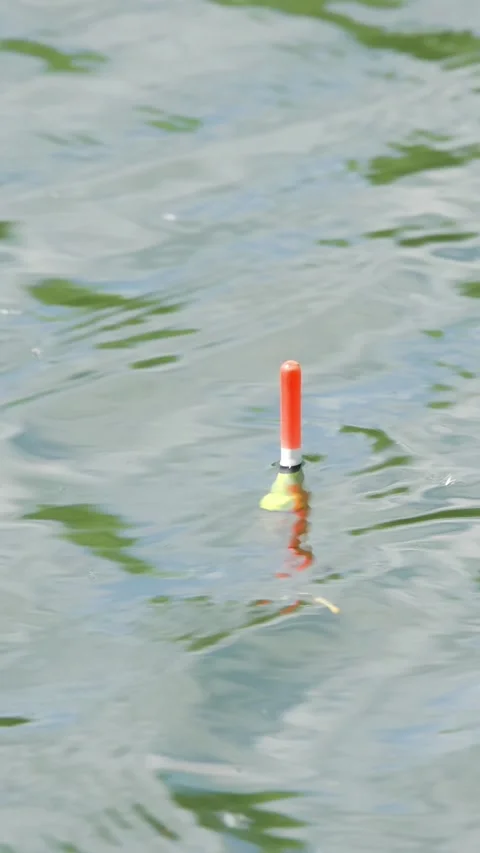 Float for fishing on the lake Stock Footage 335280492