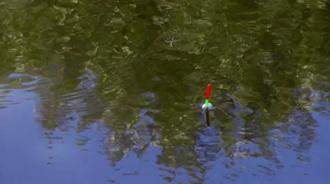 Float fishing is reflected in the water Stock Footage 7759355