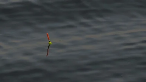 Float for fishing rod in water Stock Footage 79286120