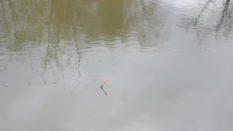 The float floats along the river and the fish pecked. Stock Footage 153048722