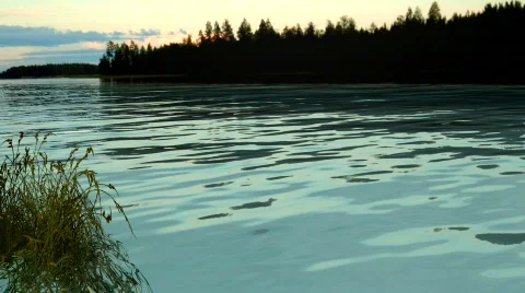 Float grass and lake Stock Footage 557079