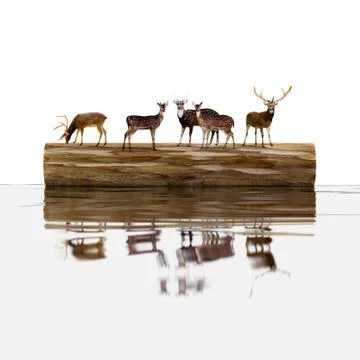 Float. Stock Illustration