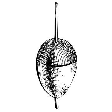 Float oval for fishing. Black and white hand-drawn illustration in graphic Stock Illustration