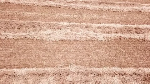 Float up over the field Stock Footage 95652707