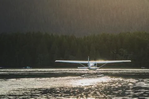 Float plane and forest during sunset Stock Photos